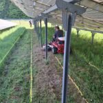 WhatsApp Bild 2025-10-09 um 17.00.10_4484e79c